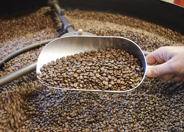 Verse koffiebonen en aromatische stoom