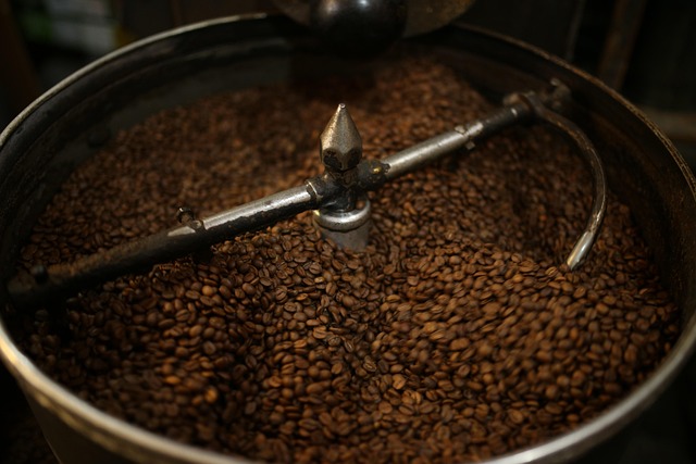 Verse koffiebonen en een kopje koffie